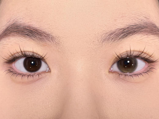 Bolly半年抛 流星巴斯克 2片装 商品图2