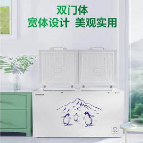容声BD/BC-508ZEM/RX 二级能效508L家用冷柜大容量一机多用锁鲜速冻双门体大容积小卖部店铺冰柜