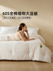 佳丽斯大豆纤维被子全棉a类单人春秋被冬被加厚保暖被芯四季通用 商品缩略图0