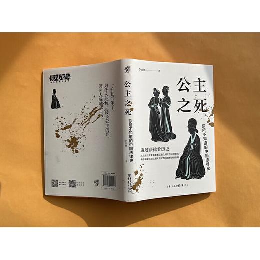 公主之死 你所不知道的中国法律史 商品图4