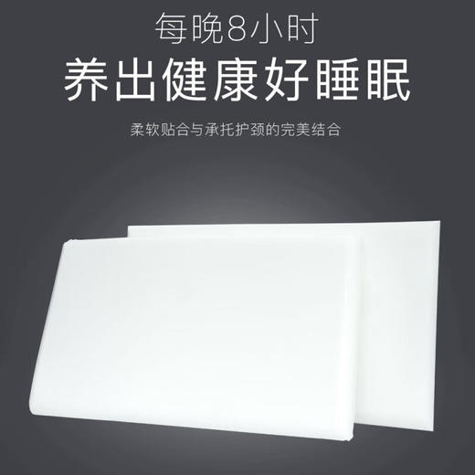 【自营】睡眠大师 D40轻柔记忆枕头 商品图6