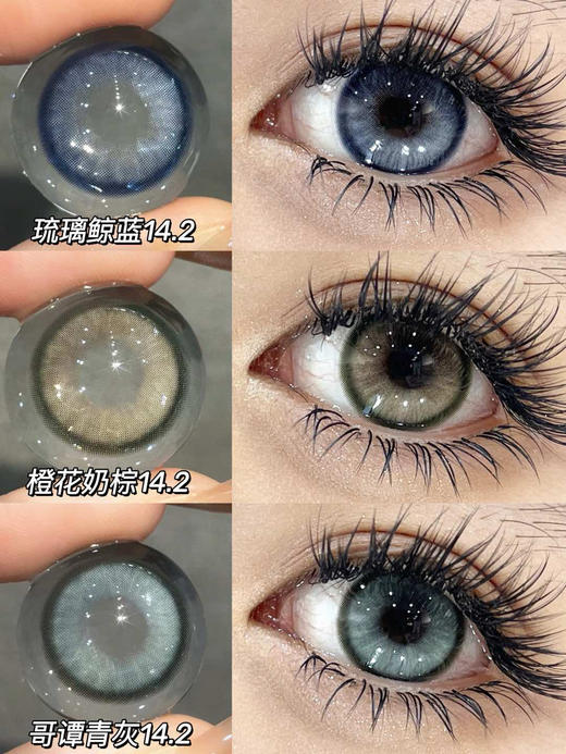 BOLLYCON&GINOMII半年抛 商品图1