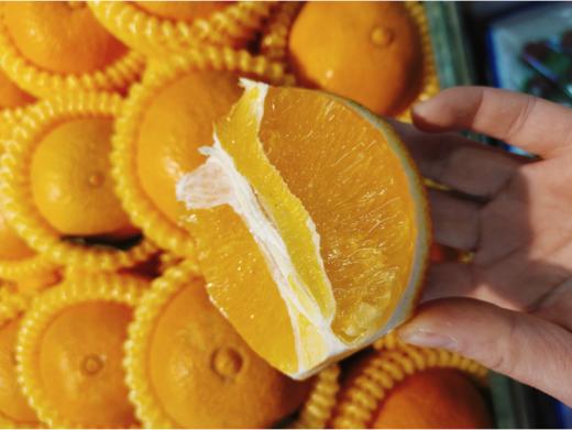 红美人果冻橙3斤 商品图1