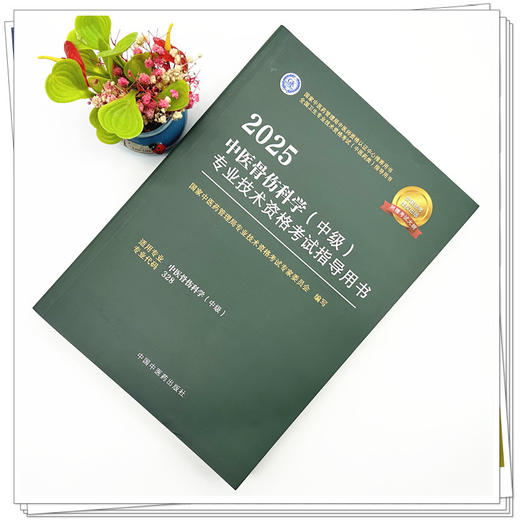 2025年中医骨伤科学（中级）专业技术资格考试指导用书 专业代码328国家中医药管理局专业技术资格考试专家委员会中国中医药出版社 商品图1