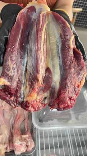 内蒙散养黄牛腱子（1斤左右）