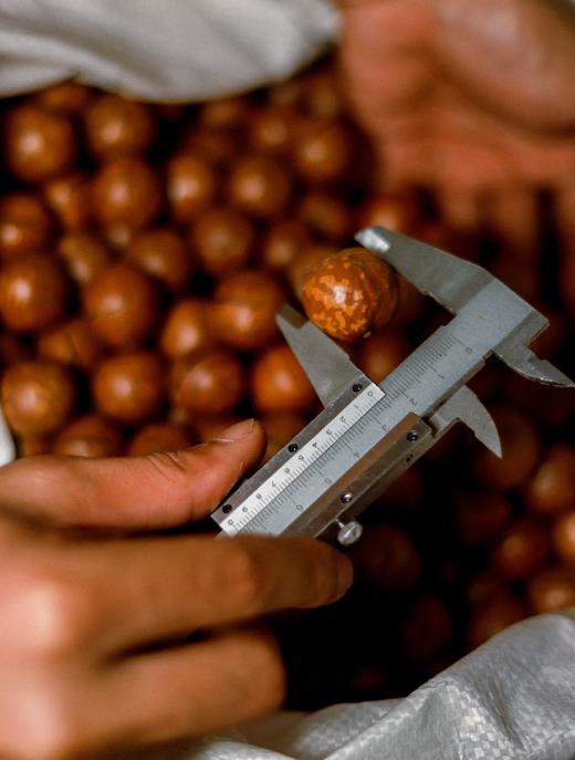 夏威夷果奶香味礼盒 商品图5