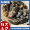 【团臻鲜】特大号精品泥螺 商品缩略图0
