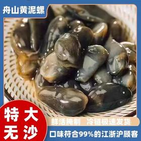 【团臻鲜】特大号精品泥螺