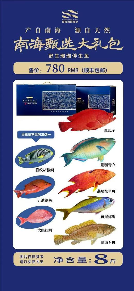 南海甄选大礼包 商品图0