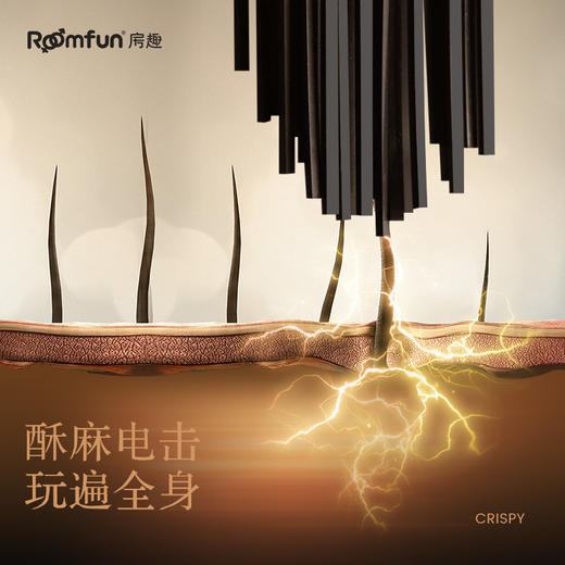 roomfun房趣 电散鞭 电滋棒下体调教男刑奴重度女用重口味情趣用品SM性道具 商品图5