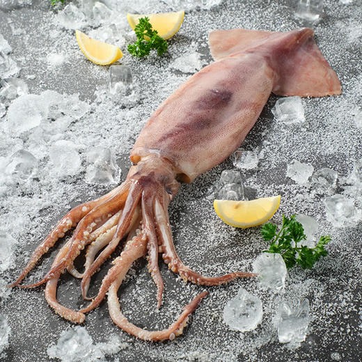 MM 山姆 钩钓阿根廷鱿鱼 1.2kg 商品图2