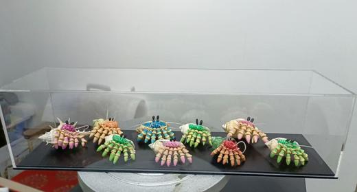 腾悦软陶艺术馆 （寄居蟹盲盒） 商品图0