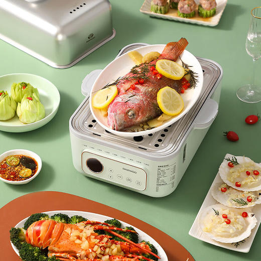 大宇多功能电蒸锅DYZG-1568【LXCTCJ10.0】 商品图3