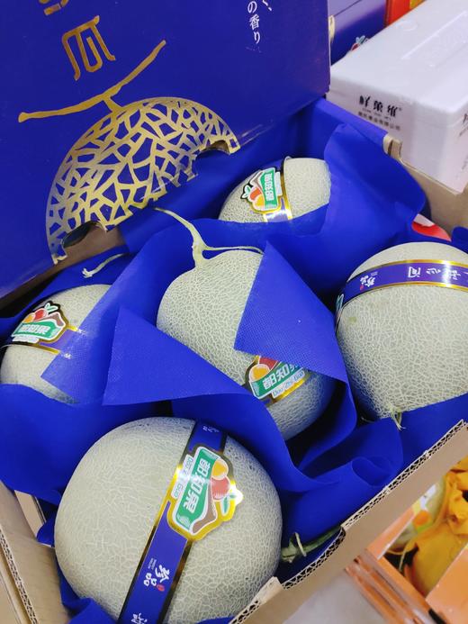 都知果网纹蜜瓜一箱 商品图1