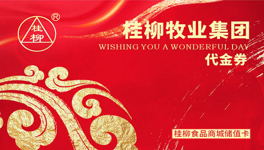 桂柳集团员工福利卡 商品图0