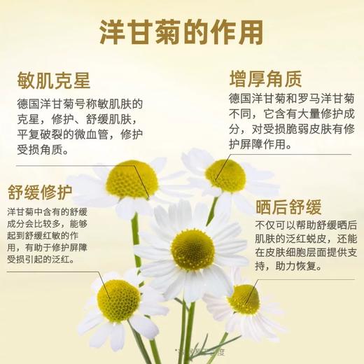 优选丨不加一滴水的纯露，【花水匠  德国洋甘菊纯露】买一瓶送一瓶再送一包湿敷棉！500ML一瓶，邂逅洋甘菊纯露，舒缓修护。 商品图4