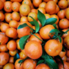 合作产品/ 广西生态砂糖橘  1月10号后发货 商品缩略图4