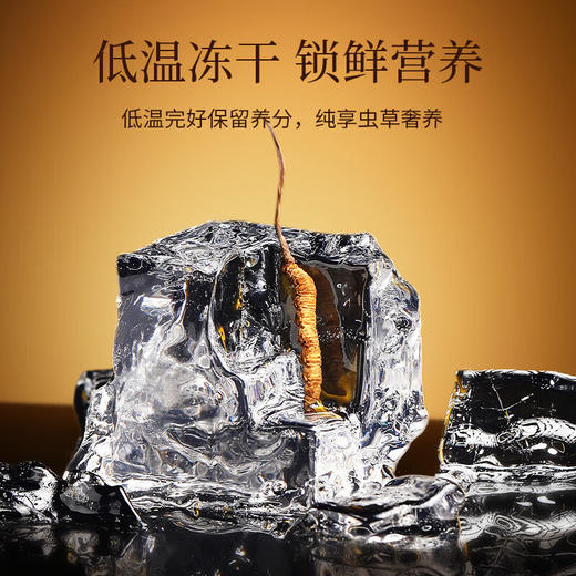 杞里香 冬虫夏草7.5克（30根）青海玉树新干虫草礼盒【LXCTCJ10.0】 商品图4