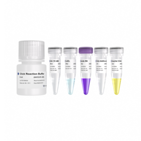 VaClick 594-EdU Cell Proliferation Test Kit