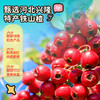 【孕味秒杀专属】小鹿蓝蓝 童趣造型多味山楂棒/300g 商品缩略图1