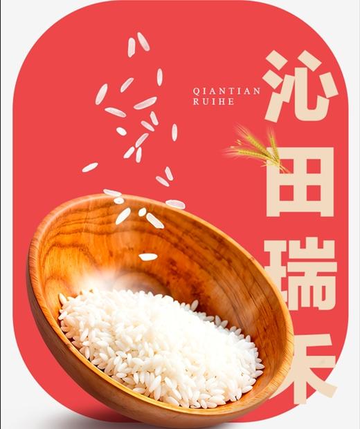 沁田瑞禾 五常稻花香大米 产自五常安家镇核心产区 自有基地种植 商品图0