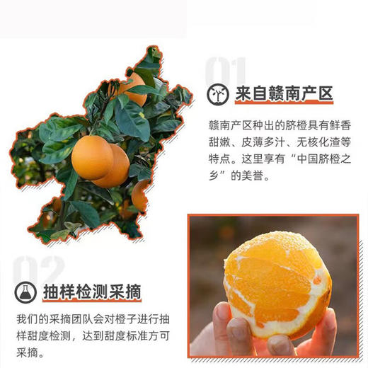 江西赣南脐橙 赣南脐橙 精品9-10斤装 超大果（90-100mm） 商品图3
