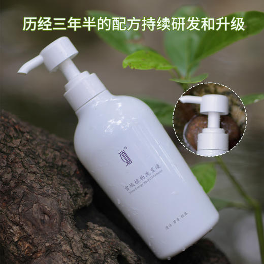 【蓬松头发】雪域植物洗发水 控油蓬松  植物精油 商品图4
