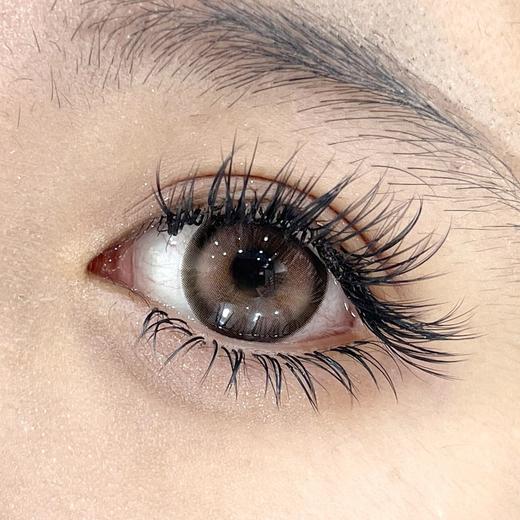 Bollycon半年抛-怪味生巧 商品图8