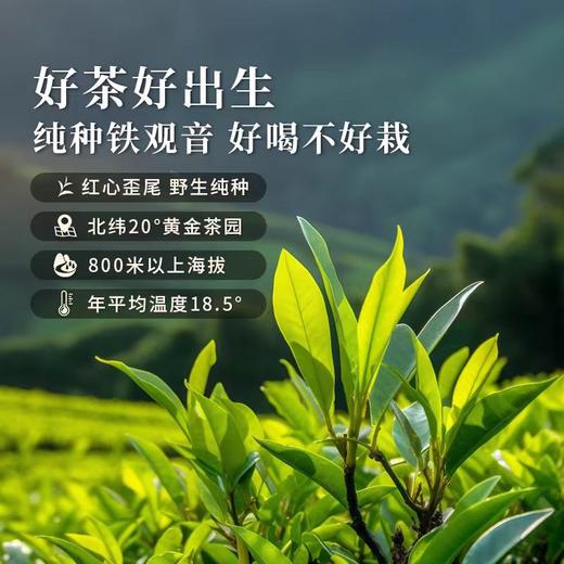 【西湖工夫】大作*铁观音240g小罐礼盒 商品图3