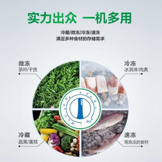 容声BD/BC-508ZEM/RX 二级能效508L家用冷柜大容量一机多用锁鲜速冻双门体大容积小卖部店铺冰柜 商品图1