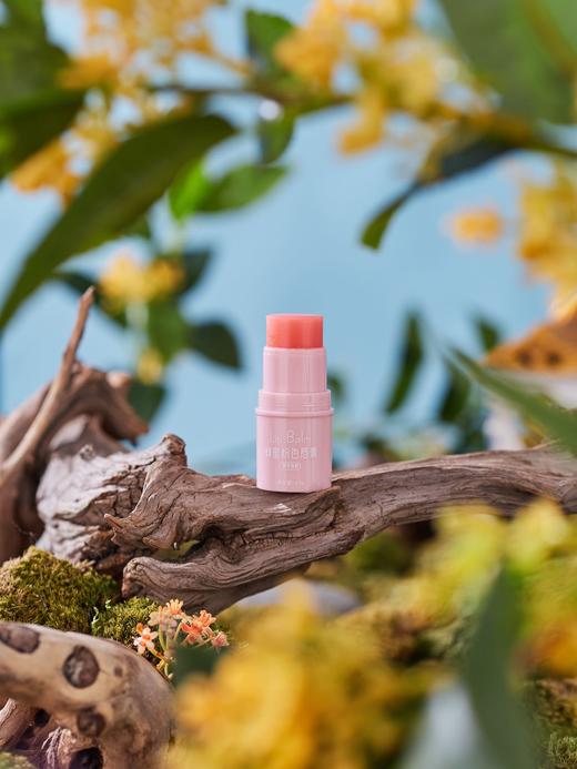 采华之滋蜂蜜粉色唇膏（小粉胖）4.5g 变色唇膏润唇补水保湿 上嘴柔嫩度超好，瞬间解决大干嘴 商品图7