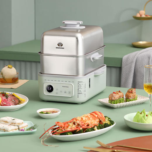 大宇多功能电蒸锅DYZG-1568【LXCTCJ10.0】 商品图1