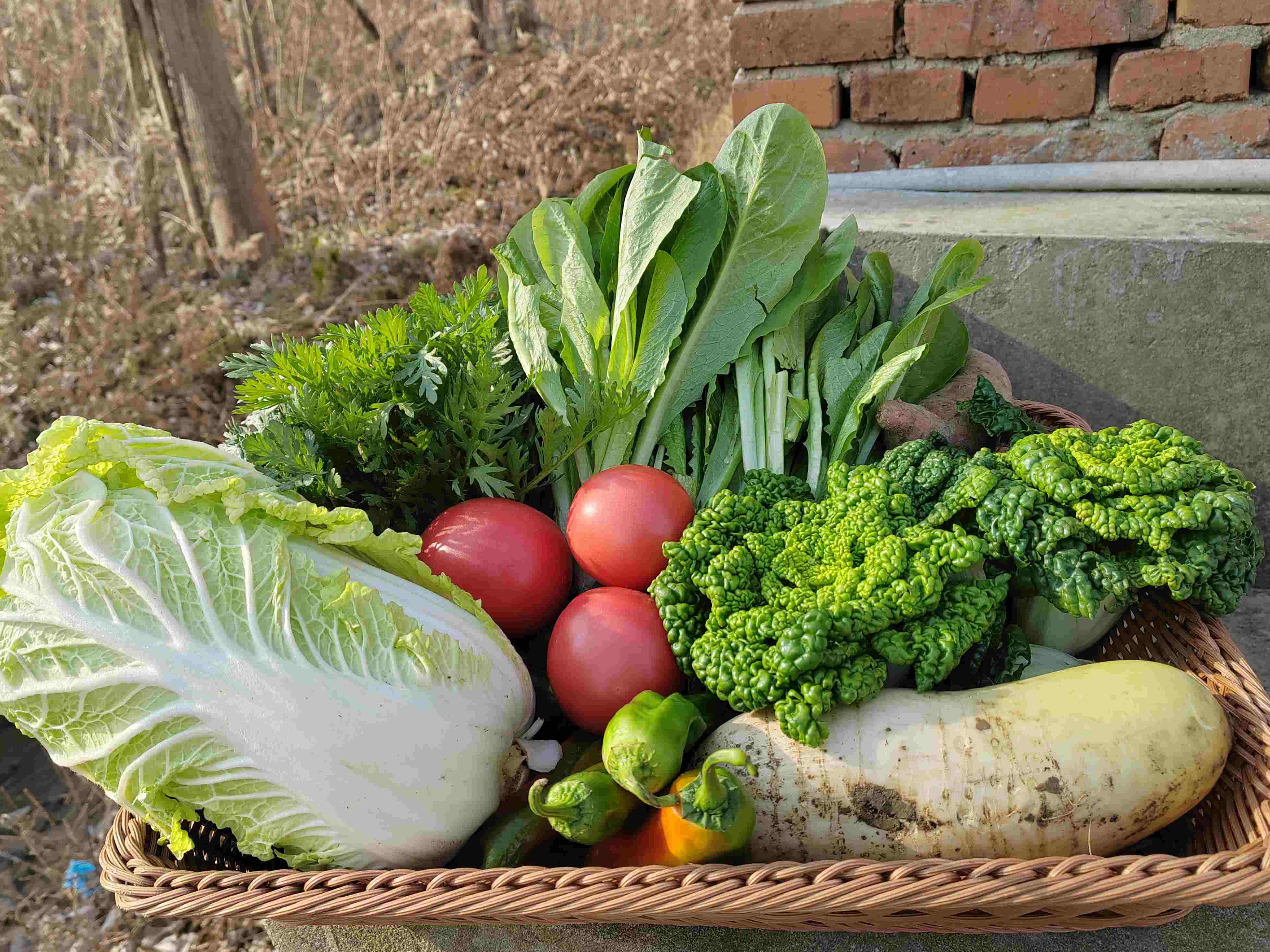 年卡时令套装菜箱