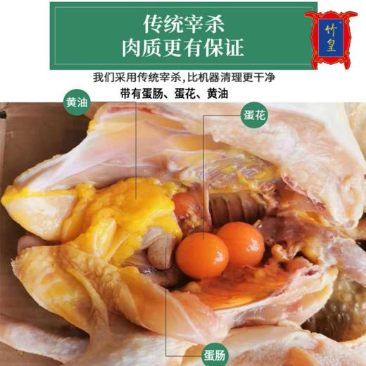 大别山竹林鸡老母鸡2.3-2.5斤 商品图4