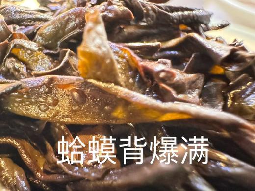 24春 岩上 蜜果香  肉桂流香涧 武夷岩茶 三坑两涧 100克起 商品图6