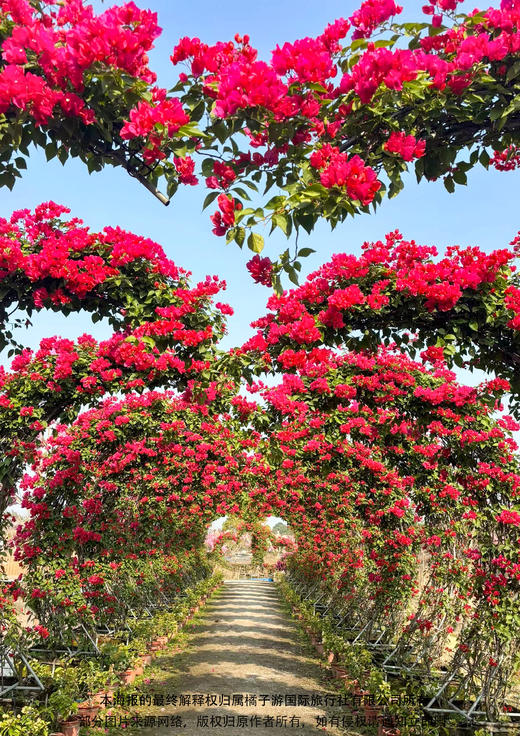 【江门花海】 塘口墟粮仓&御宁山花海一天游 商品图1