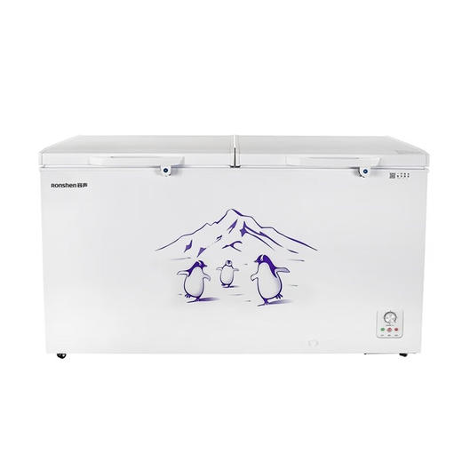 容声BD/BC-508ZEM/RX 二级能效508L家用冷柜大容量一机多用锁鲜速冻双门体大容积小卖部店铺冰柜 商品图7