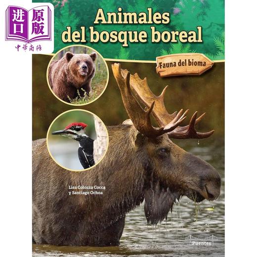 【中商原版】Spanish Science Readers Animales del bosque boreal 3-6年级 8-12岁 西班牙语原版少儿科普读物 北方森林动物 Fauna del b 商品图0