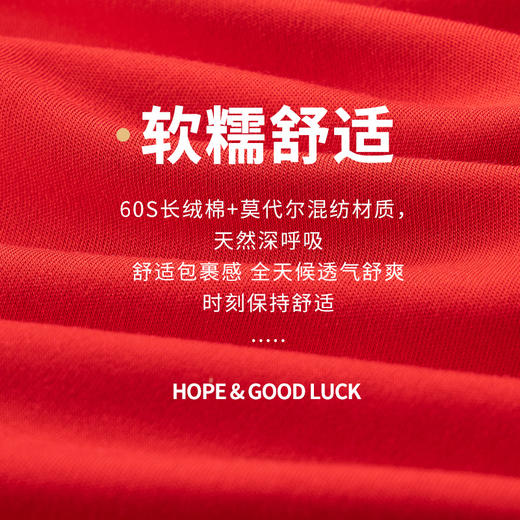 【59元/2条装】【大牌高品质】60支长绒棉+莫代尔女士高腰内裤 本命年结婚喜庆大红高腰收腹轻薄透气内裤 商品图2