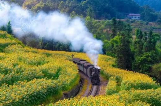 “川西春色”嘉阳小火车、金川梨花、甲居藏寨、色达佛学院、桃坪羌寨9天摄影团 商品图1