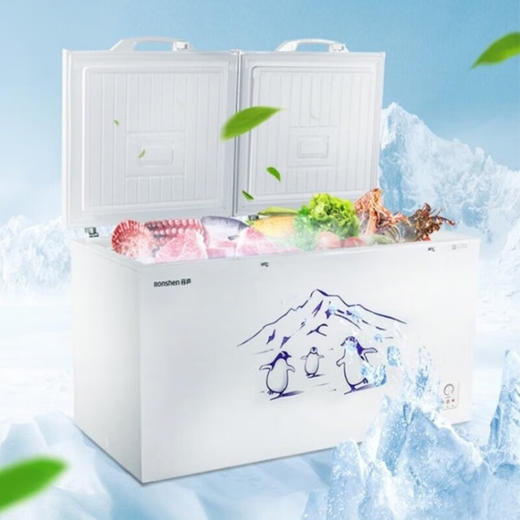容声BD/BC-508ZEM/RX 二级能效508L家用冷柜大容量一机多用锁鲜速冻双门体大容积小卖部店铺冰柜 商品图3