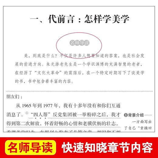 谈美书简 爱阅读课程化丛书中小学生语文中国世界名著青少年无障碍精读中小学课外阅读青少版 商品图1