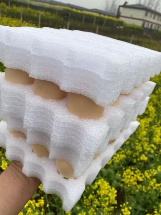 安徽竹林鸡蛋散养谷物新鲜土鸡蛋 商品图7