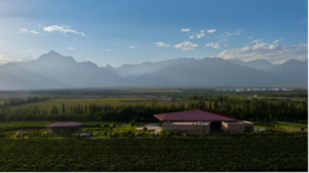 【2025.01.10 武康门票 Wukang Ticket】银色高地葡萄酒品鉴盛会｜品味自然与匠心的完美结晶