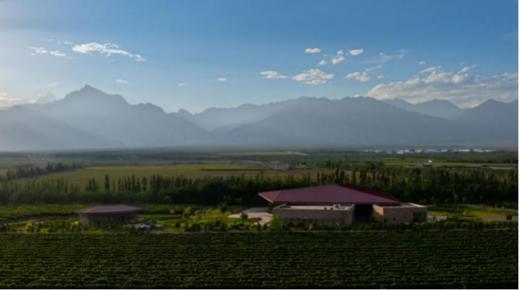 【2025.01.10 武康门票 Wukang Ticket】银色高地葡萄酒品鉴盛会｜品味自然与匠心的完美结晶 商品图0