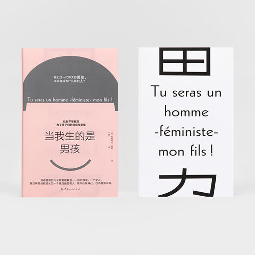 当我生的是男孩 ［法］奥蕾莉亚·勃朗（Aurélia Blanc） 商品图1
