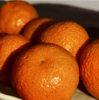 合作产品/ 广西生态砂糖橘  1月10号后发货 商品缩略图6