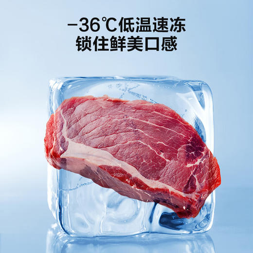 容声205升小冰柜家用商用保鲜冷冻两用冷柜节能减霜冰箱BD/BC-205ZEBAM/RX墨韵灰 205L 商品图1