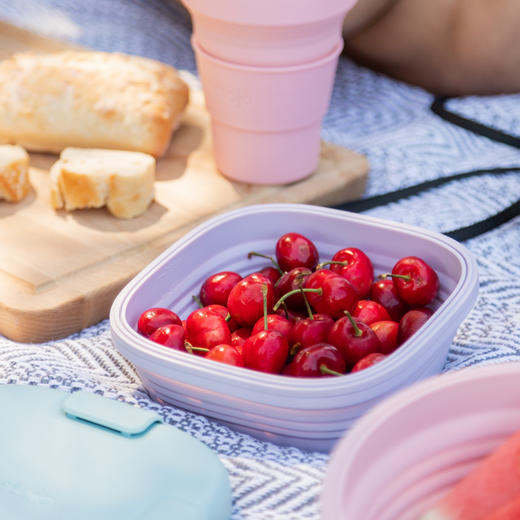 【Stojo硅胶折叠碗】旅行便携可伸缩泡面碗饭盒减脂餐碗水杯出行套装 商品图2