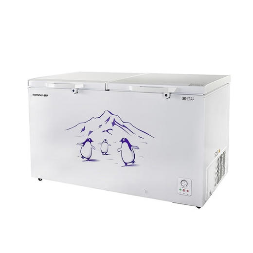 容声BD/BC-508ZEM/RX 二级能效508L家用冷柜大容量一机多用锁鲜速冻双门体大容积小卖部店铺冰柜 商品图5